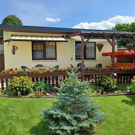 Ferienwohnung-Ullmann Ehrenfriedersdorf Buitenkant foto